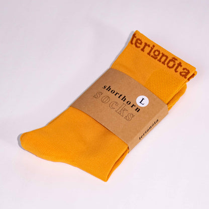 Shorthorn Socks